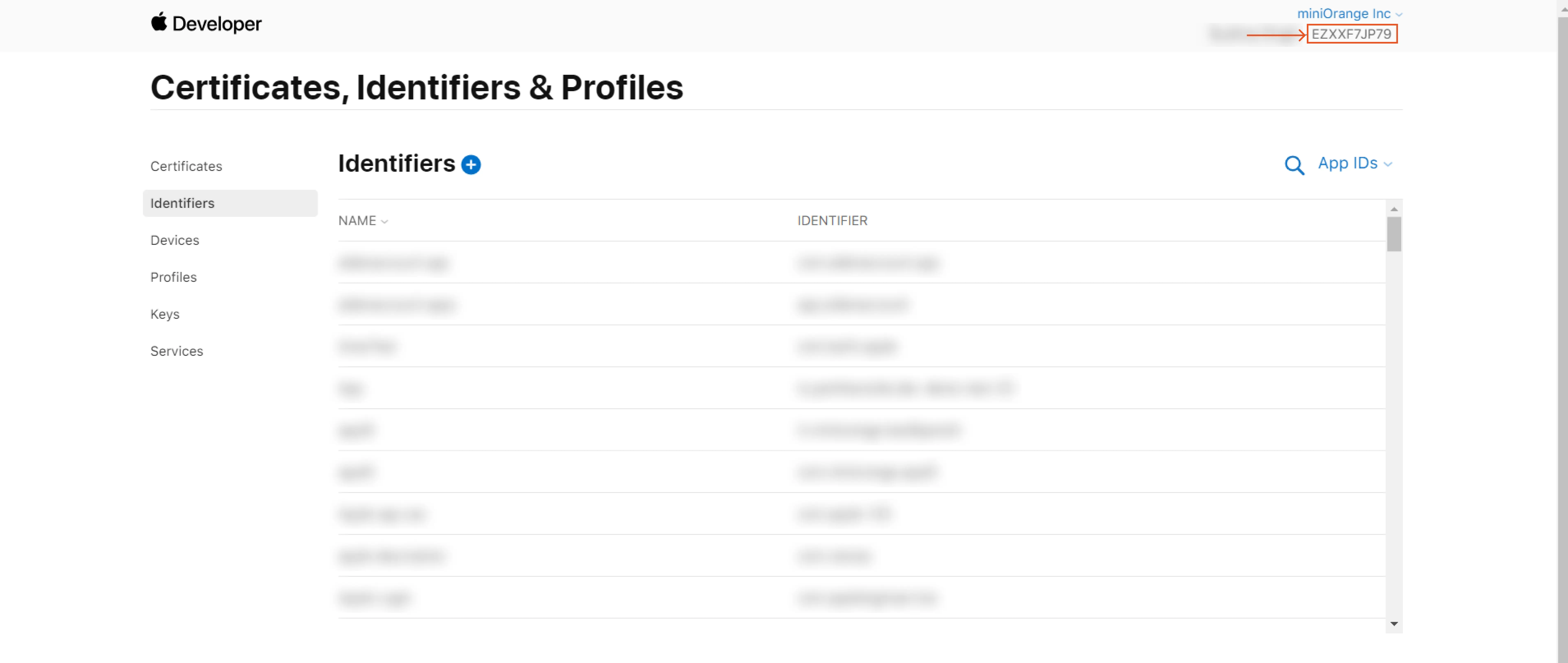 SSO Apple apps Identifier