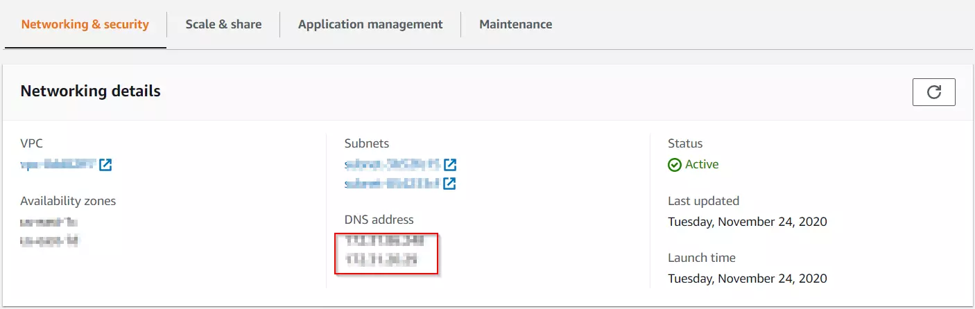 Enable DNS address on AWS Workspaces portal