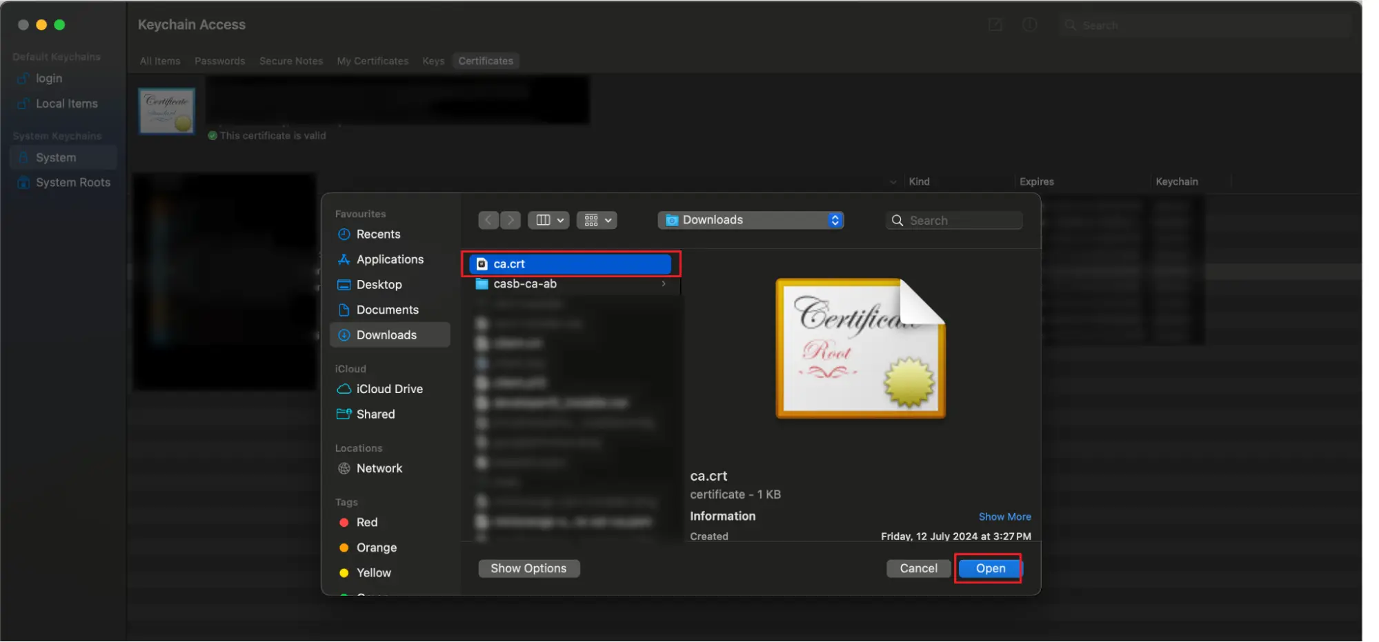 CA Certificate for miniOrange CASB