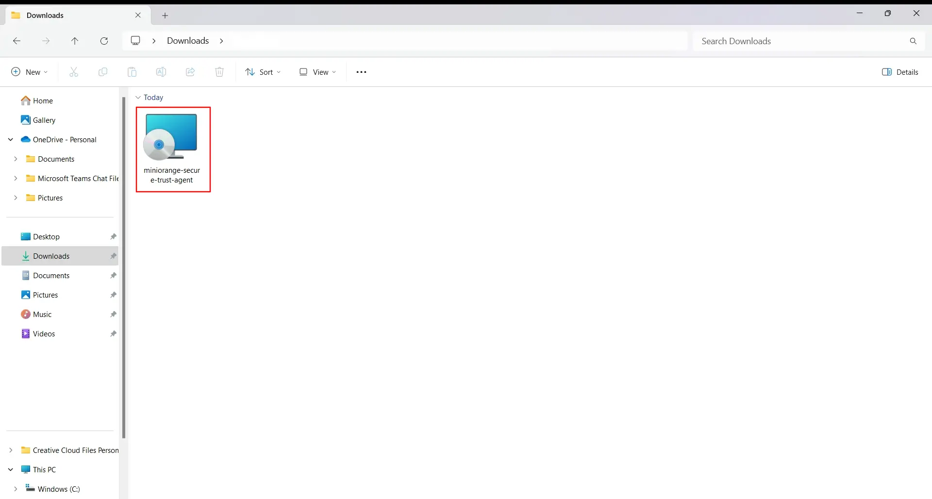 Install Secure Trust CASB Agent
