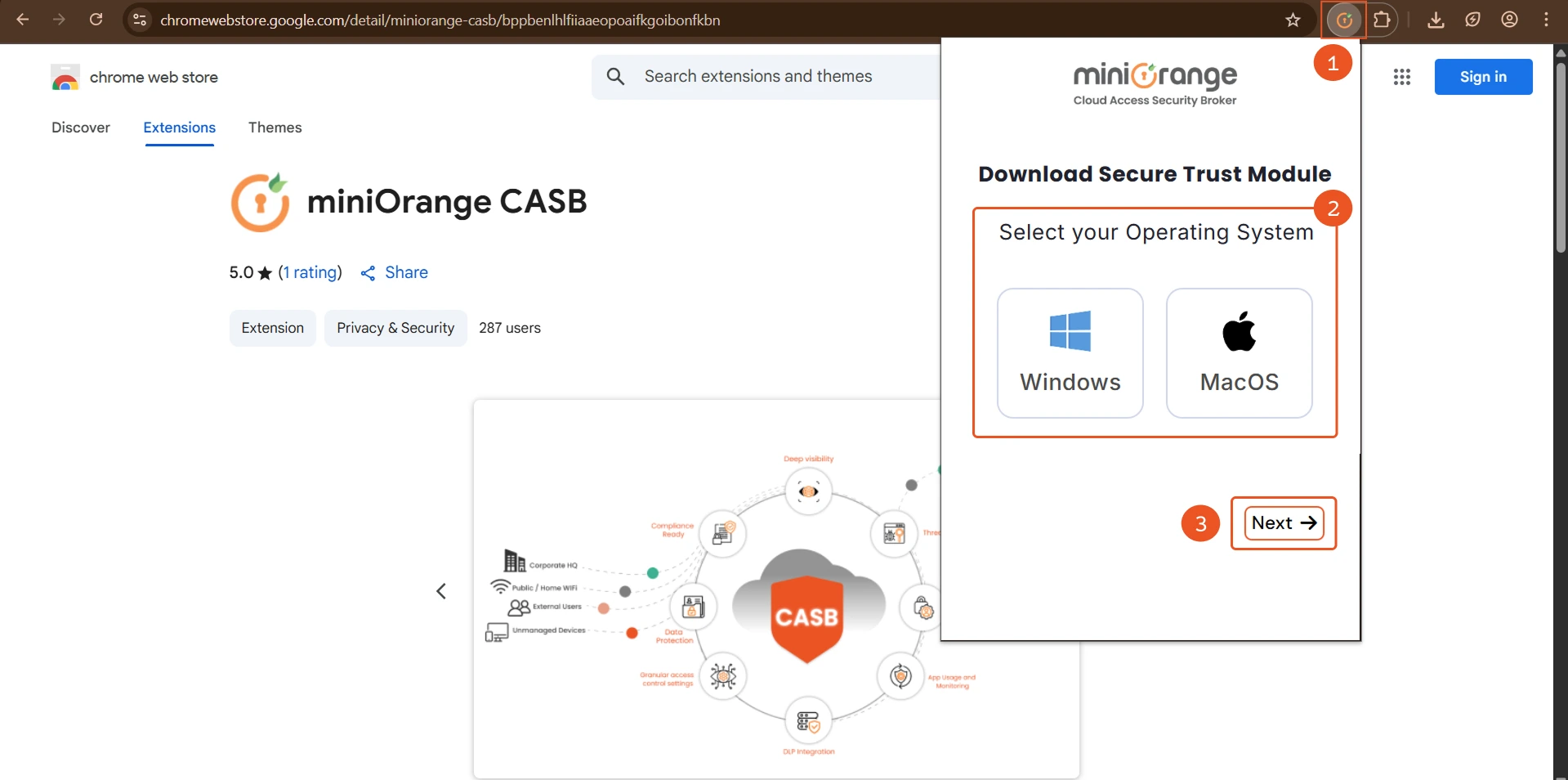 Extension CASB add to chrome