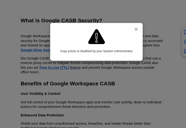 Google Docs Copy Action Disabled Warning Message