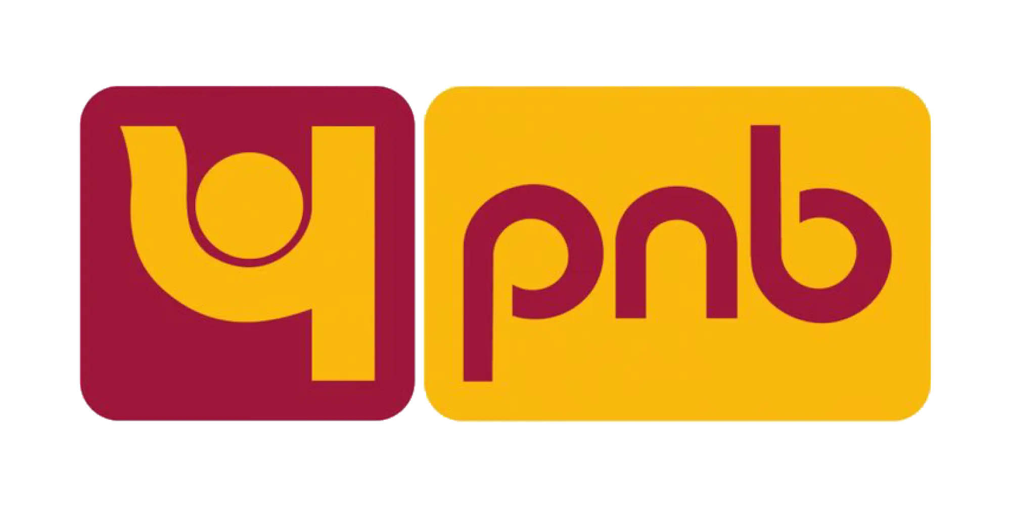 pnb.co.in