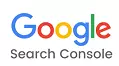 Google Workspace SSO: Search Console Logo