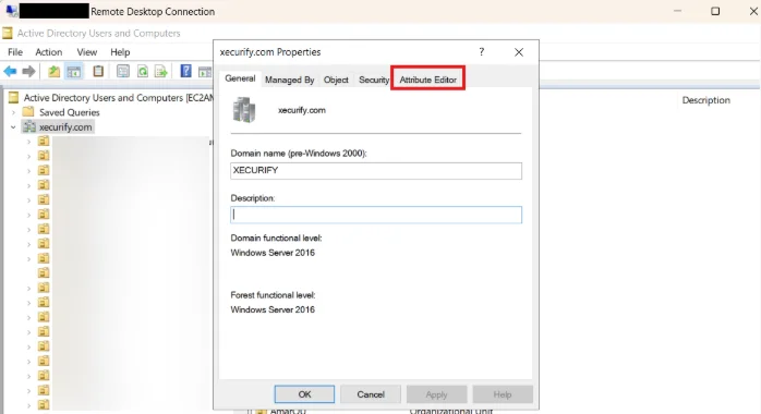 AD domain Attribute Editor tab