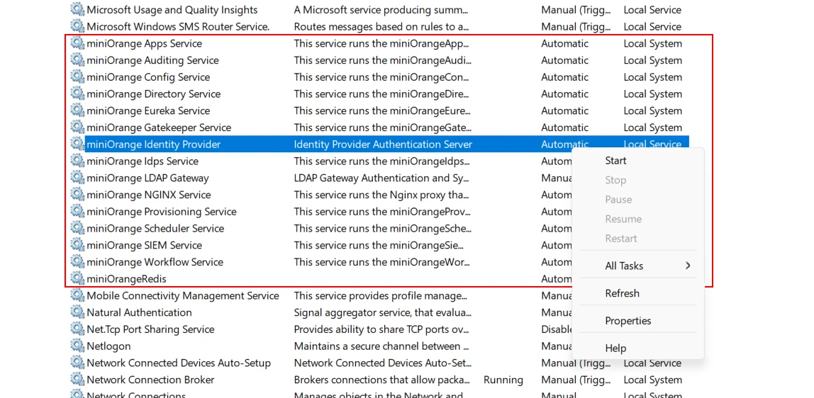 On-Premise IDP Server Windows Start