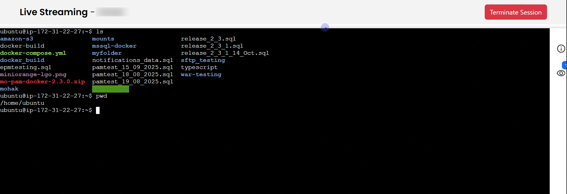 Privileged Access Management Admin Handbook: View button to monitor the session
